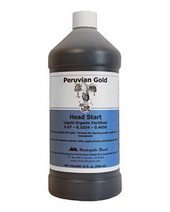 Peruvian Gold Head Start (0.07-0.1034-0.4650) <br>qt