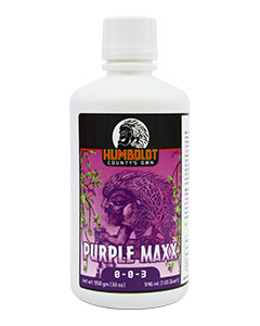 Humboldt County's Own Purple Maxx <br>qt