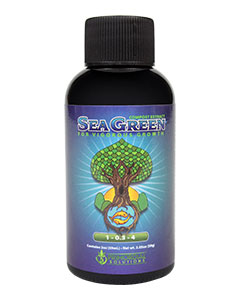 Primordial Solutions Sea Green (1-0.5-4) <br>2 oz