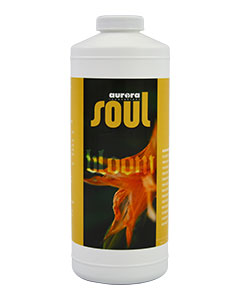 Soul Bloom (1-4-3) <br> qt