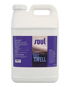 Soul Big Swell (2-5-3) <br> 2.5 gl