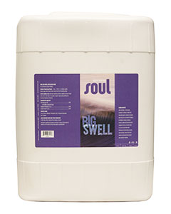 Soul Big Swell (2-5-3) <br> 5 gl