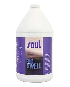 Soul Big Swell (2-5-3) <br> gl