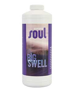 Soul Big Swell (2-5-3) <br> qt