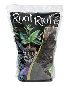 Root Riot Plant Starter Cubes <br>100/bg