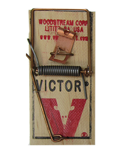 Victor Mouse Trap <br>72/case