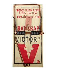 Victor Rat Trap <br>12/case