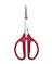 ARS Long Reach Bonsai Scissors <br>#SS-380