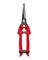 ARS Stainless Steel Fruit Pruner <br>#SE-45