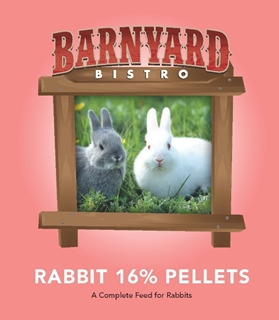 BARNYARD BISTRO RABBIT 8#