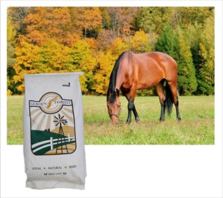 GH ALFALFA PELLETS 50#