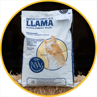 NS NW LLAMA SUPPLEMENT 25#