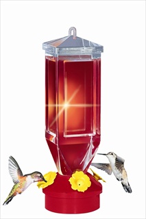 PP HB FEEDER 18Z LANTERN