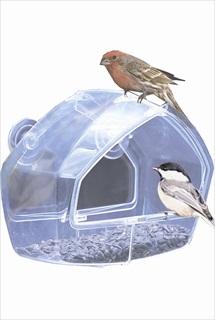 PP SEED FEEDER 1C WINDOW VIEW *