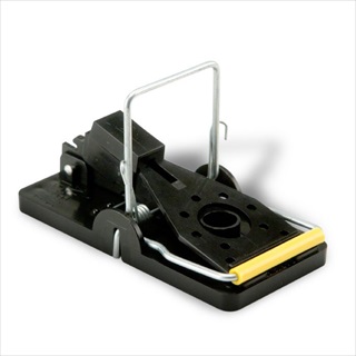 KNESS SNAP-E MOUSETRAP