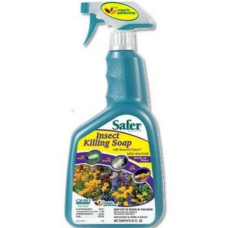 SAFER INSECT KILL SOAP 24Z RTU