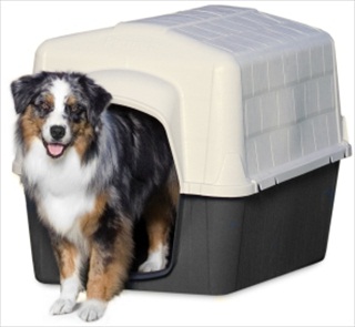 PETM BARNHOME 3 SMALL