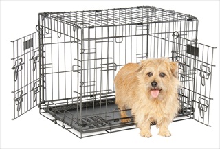 PETM ELITE 24" WIRE KENNEL BLK