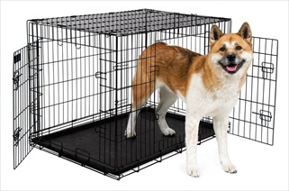 PETM 2 DOOR TRAIN 43" KENNEL