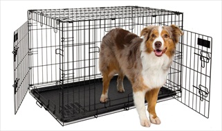 PETM 2 DOOR TRAIN 34" KENNEL