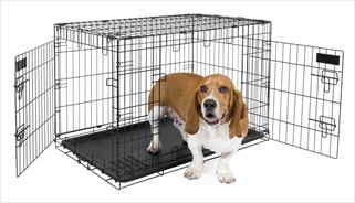 PETM 2 DOOR TRAIN 30" KENNEL