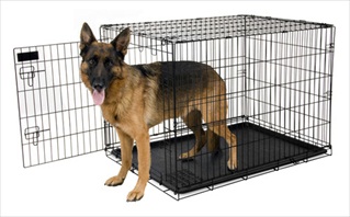 PETM 2 DR TRAINING KENNEL 43"