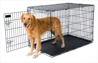 PETM TRAINING 38" WIRE KENNEL