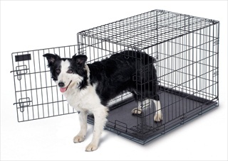 PETM TRAINING 30" WIRE KENNEL