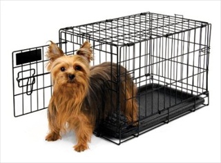 PETM TRAINING 24" WIRE KENNEL