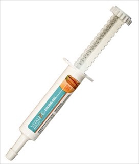 BZ VITALIZE EQUINE GEL 30ML TUBE