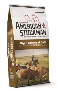 NAS BIG 6 MINERAL SALT BAG 50#