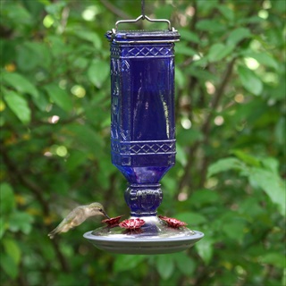 PP HB FEEDER 16Z BLUE SQ BOTTLE