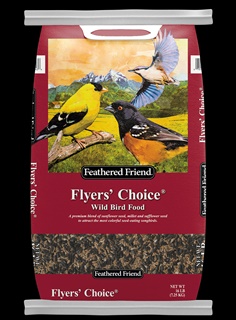 FF FLYERS CHOICE 16#