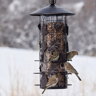 PP SEED FEEDER 8# SQUIR-B-GONE 3