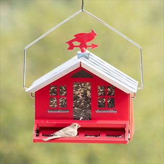 PP SEED FEEDER 8# SBG II COUNTRY