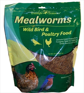 WILDLIFE SCI MEALWORMS 21Z