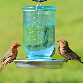 PP WATERER 32Z BLUE MASON JAR