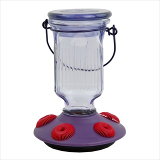 PP HB FEEDER 16Z TF LAVENDER