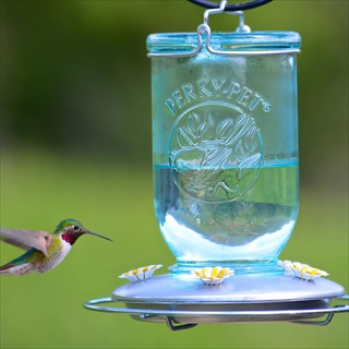 PP HB FEEDER 32Z BLUE MASON JAR