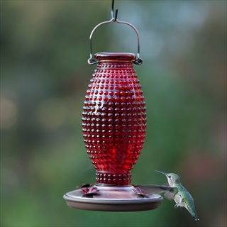 PP HB FEEDER 16Z RUBY HOBNAIL