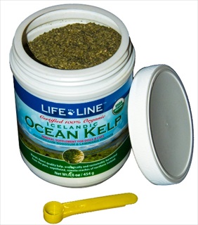 LL ORGANIC OCEAN KELP 16Z CAN