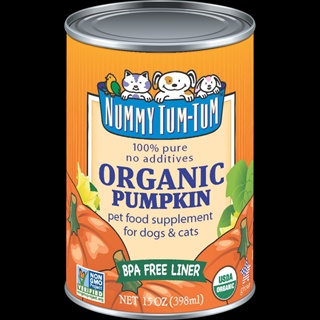 NUMMY TUM TUM ORG PUMPKIN 15Z