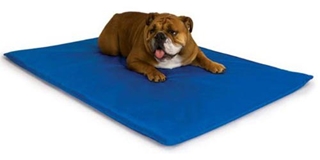 KH COOLIN PET PAD MEDIUM