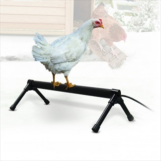 KH THERMO CHICKEN PERCH 36IN