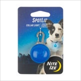 NI SPOTLIT BLUE