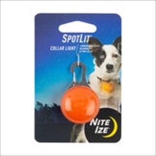 NI SPOTLIT ORANGE