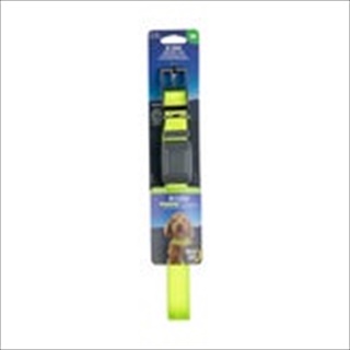 NI LED COLLAR RECHG LIME/GRN MD