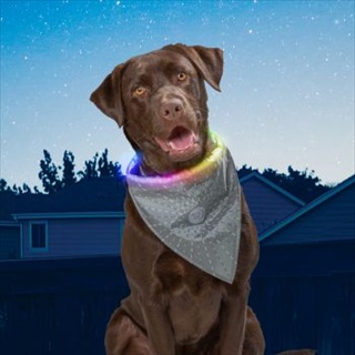 NI NITEHOWL BANDANA DISCO GREY