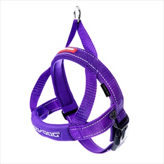 EZY HARNESS QUICK FIT SM PRPL