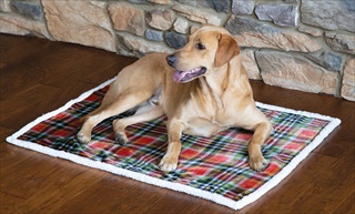 CAR THROW PET RUST/SAGE PLAID LG